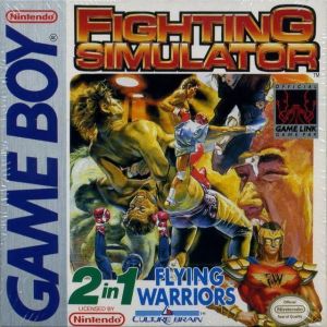 Fighting Simulator 2in1 - Flying Warriors ROM
