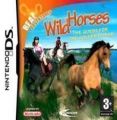 Real Adventure - Wild Horses